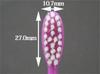 Japanese-made toothbrush, LycaBelle Mini, 12 pieces [LycaBelle]