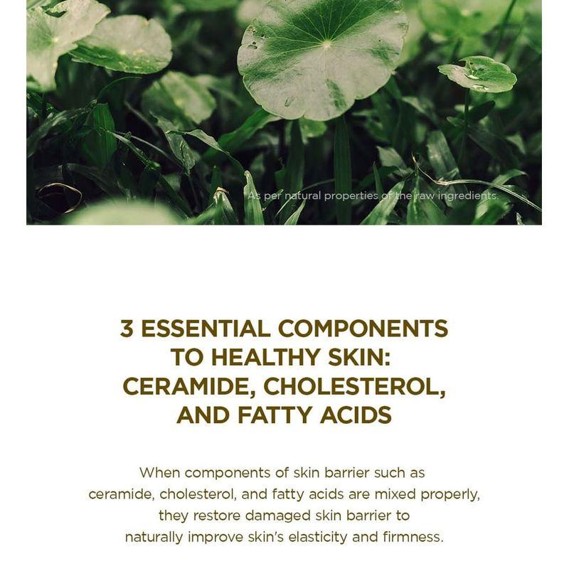 SKIN 1004 - Madagascar Centella Soothing Cream Bundle Set