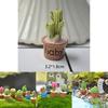 Delightful Mini Cactus Resin Ornament For Charming Fairy Garden Decor Craft