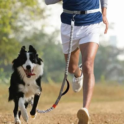 Cinto para Passeio de Cães, Corda de Tração, Refletivo, à Prova de Explosão e Elástico para Correr e Passear com Cães à Noite com Facilidade Trela para Cães