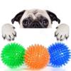 Retriever Large Dogs Dog Toys Puppy Chew Toys Hedgehog Ball Spikey Balls Interactive Toys Dog Balls