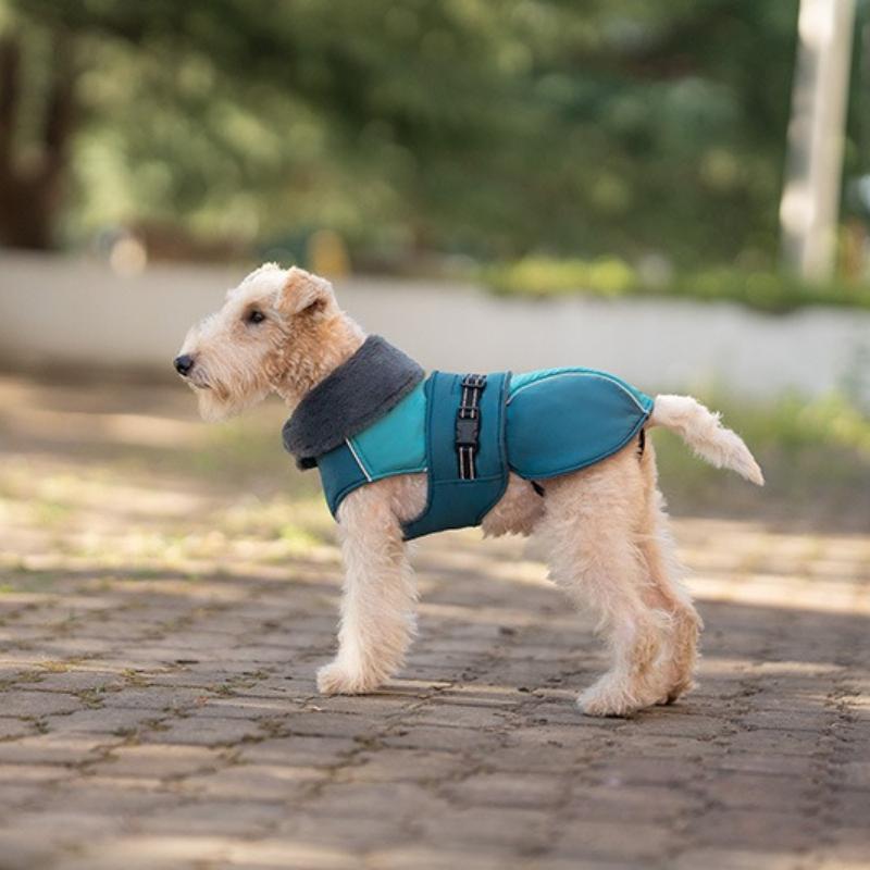 Dog Clothes Large Lapel Neck Jacket Winter High Neck Warm Pet Clothes Thickened Dog Coats Schnauzer Cotton Coat Pet Costume