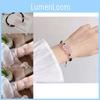 Rose Bohemian Quartz Pixiu Bracelet Handmade Resin For Friendship Luck And
