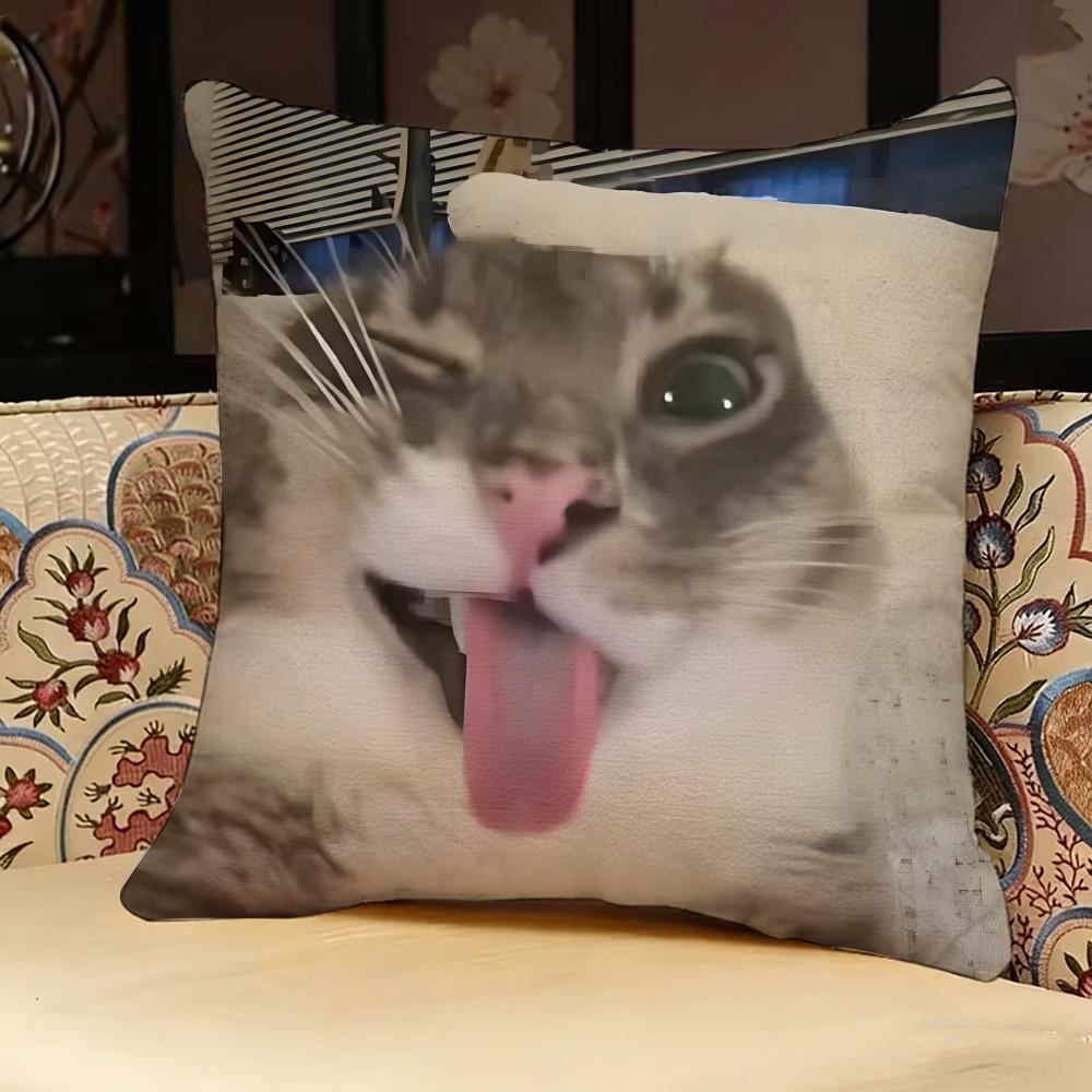 Cat Funny MEME Pillow Case Pillowcase Doublesided Printed Sofa Cushion Bedroom Headboard Pillow