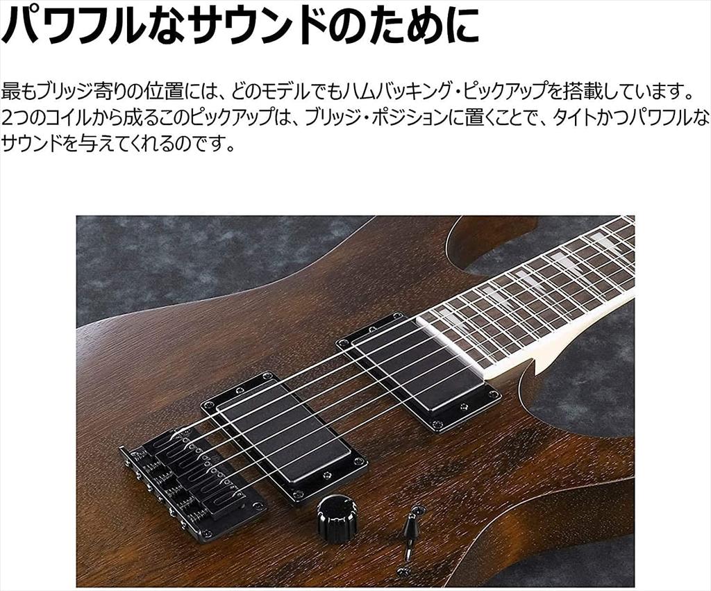 GIO Ibanez Beginner's Electric Guitar (Black/Flat) GRG121DX-BKF