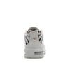 Nike Air Max Plus GS 'Light Iron Ore Chrome' FZ0977-001