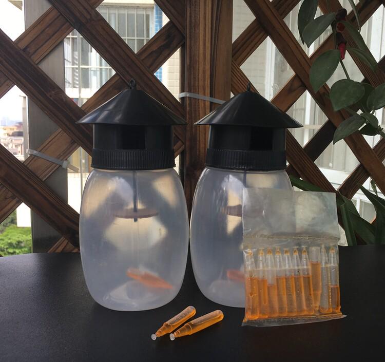 Fruit Fly Trap with Lure Solution - Specialized Insect Killer, Effective Against Flying Pests, Free Nationwide Shipping