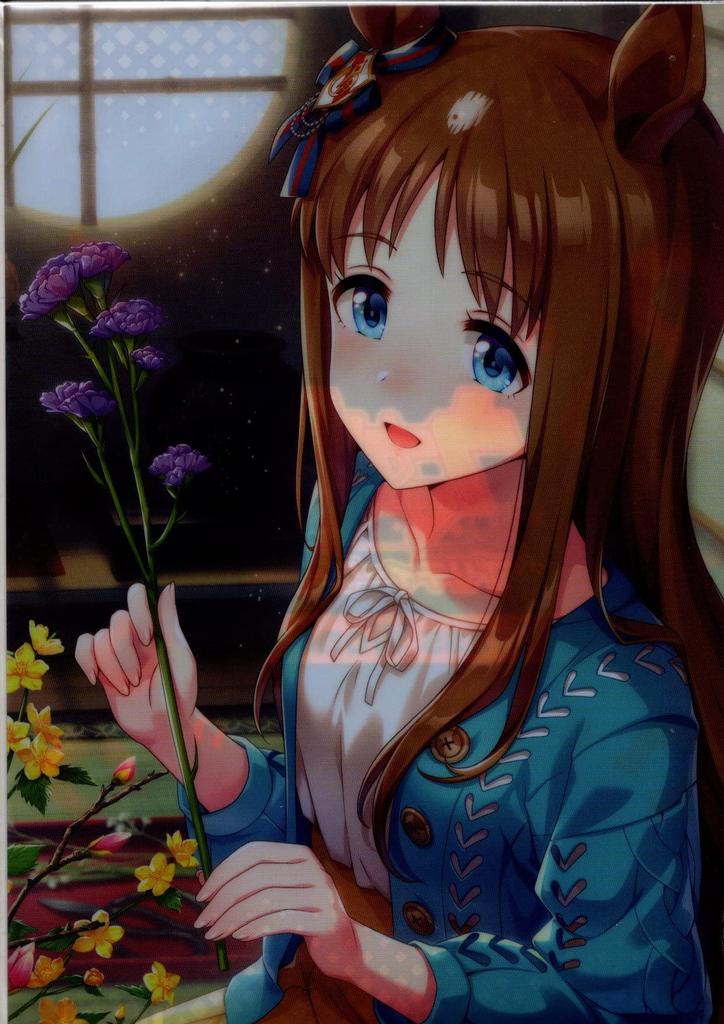 Clear File Uma Musume Pretty Derby MOVIC 0222 Glass Wonder