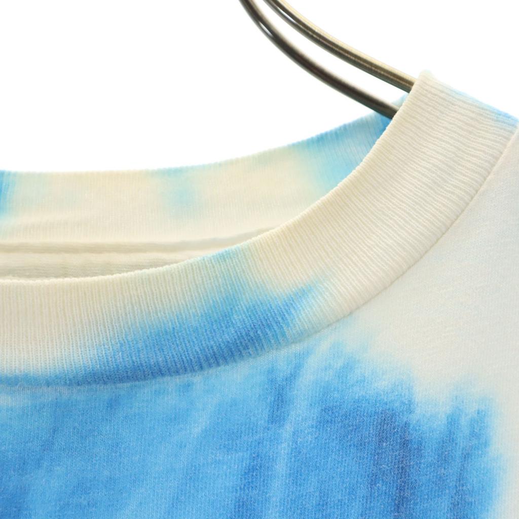 TULTEX 00s Old Looney Tunes Tweety Short sleeve T-shirt L blue Tie-dye Men's Used