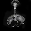 Transparent Glass Shrimp Feeding Dish Multifunctional Acrylic Shrimp Bowl Fish Tank Aquarium