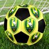 ADO Den Haag Soccer Ball Colorful All Ages Machine Stitched PVC Competition Ready Durable High-Bounce.SIZE5