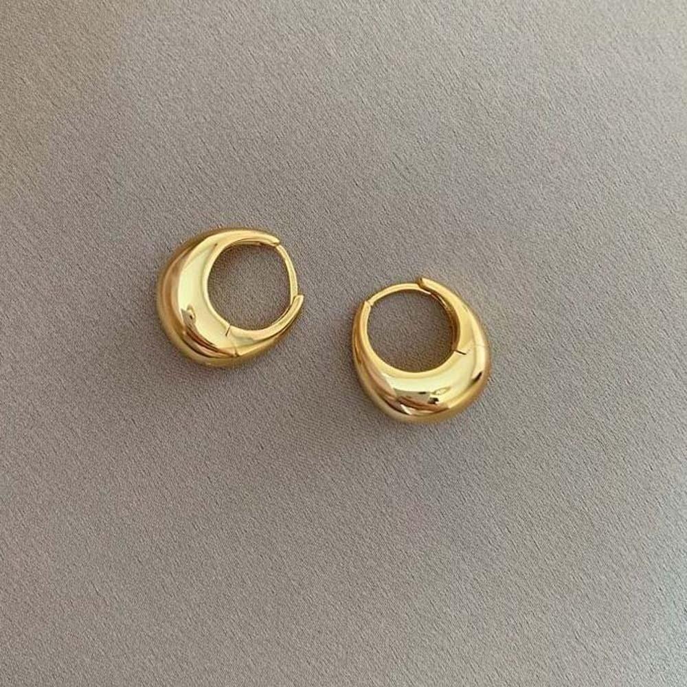 925 Silver Needle Golden Round Earrings Elegant Silver Ear Buckles Brilliant Circle Earrings  Daily