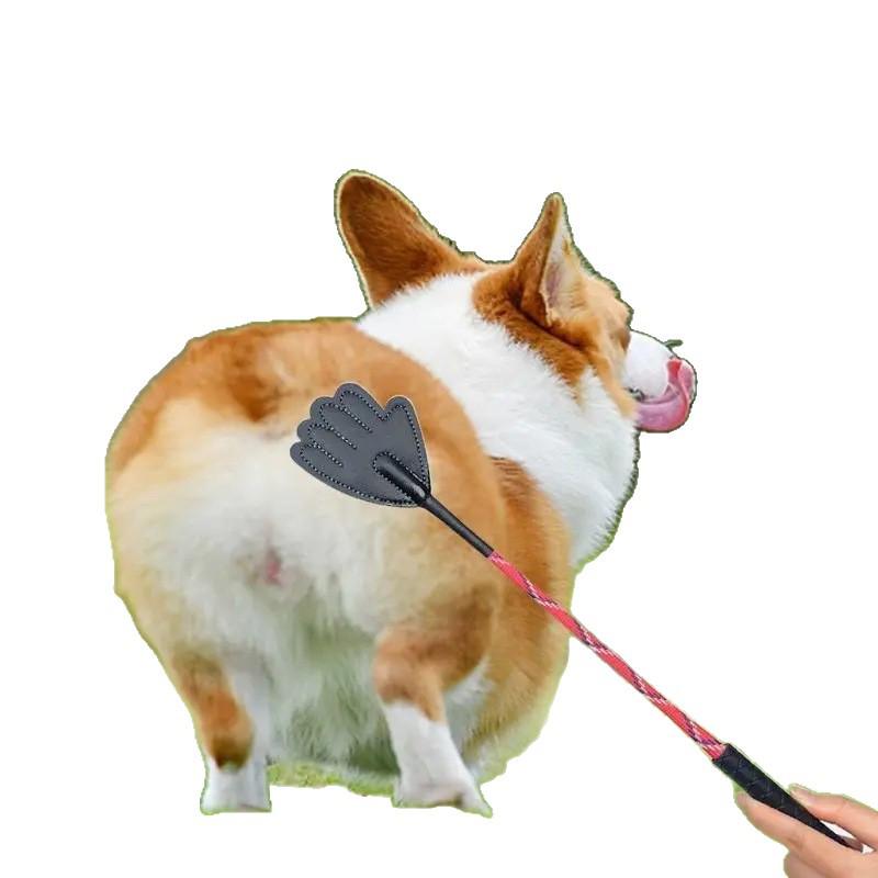 Dog Training Device: Love Patting Stick for New Pet Owners