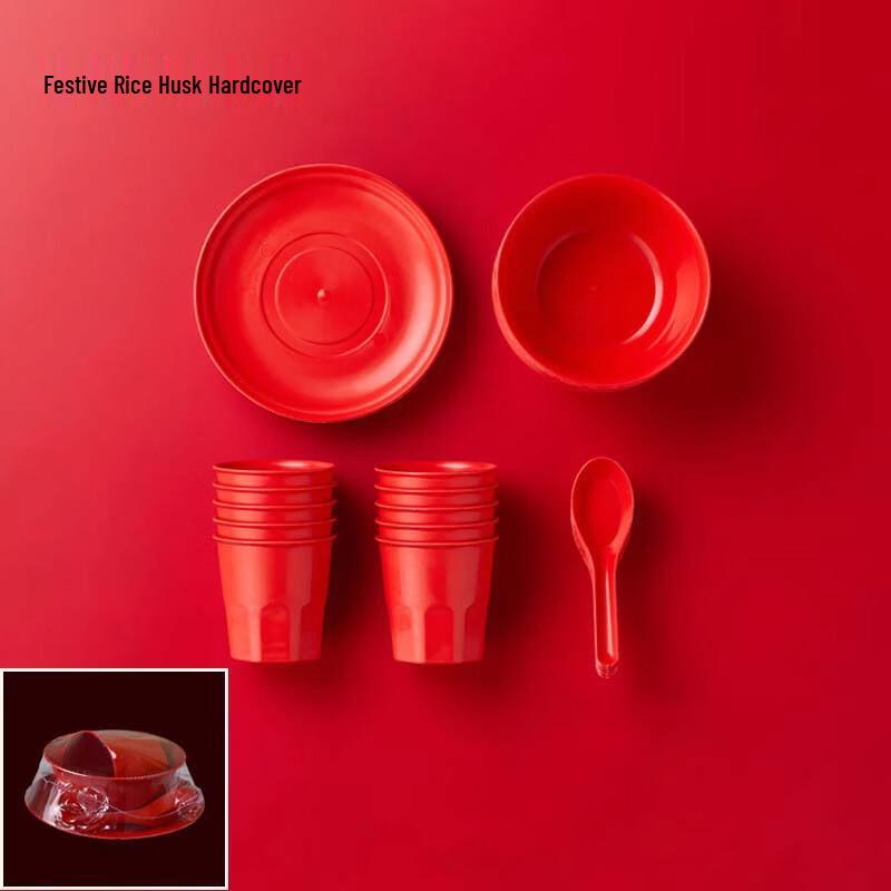 Disposable Tableware Set
