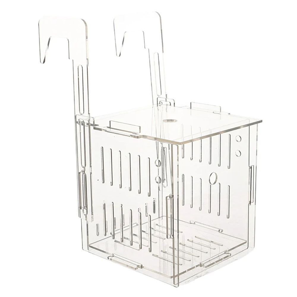 1 Pièce Petite Boîte d'Isolation d'Aquarium pour Poissons Rougeurs, Boîte de Reproduction Transparente pour Accouplement et Éclosion, Séparateur d'Élevage en Acrylique, Boîte pour Plantes Hydroponiques
