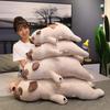 Cute Dog Throw Pillow Plush Toy Doll Pug Dog Doll Home Pillow Girl Soothing Rag Doll