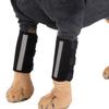 Dog Front Leg Pads ,1 Pair Dog Elbow Protector,Elbow Protect Wrap,Dog Knee(Black M)