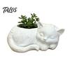 Talos 3D Printed Sleeping Cat Flowerpot, Mini Desktop Planter, Decorative Plant Holder for Succulents Small Green Plants