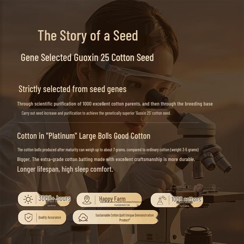 Mercury Home Textiles A-Class All-Season Quilt