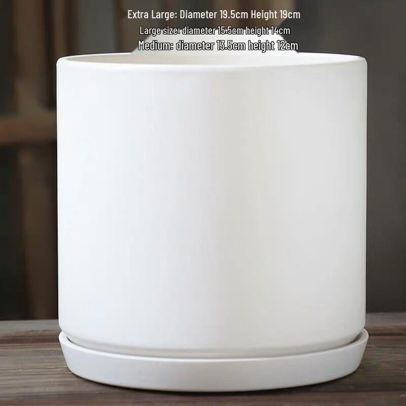 Nordic White Ceramic Flower Pot with Tray - Large & Extra Large for Pothos & Succulents