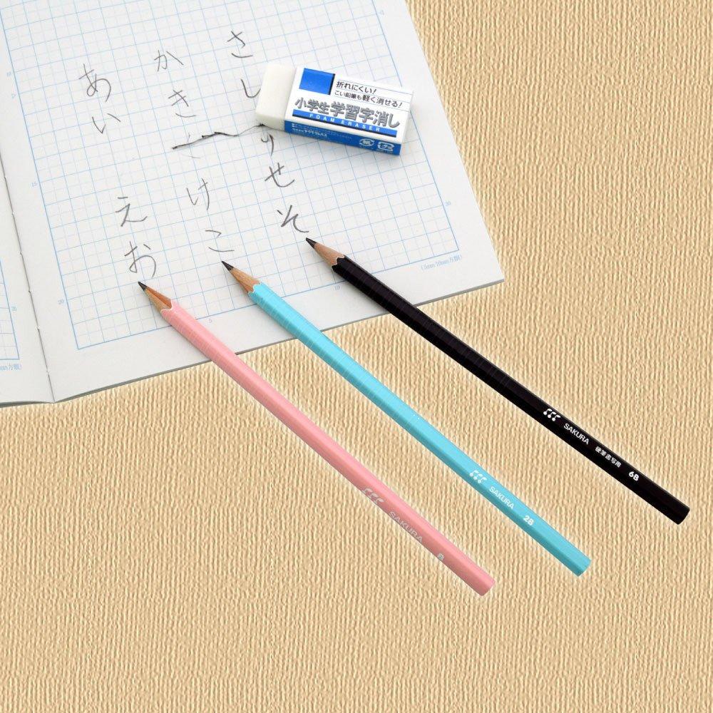 Sakura Elementary School Learning 2P X 20 Cray-Pas Eraser, 60, Count, RFW60S-2P(20)
