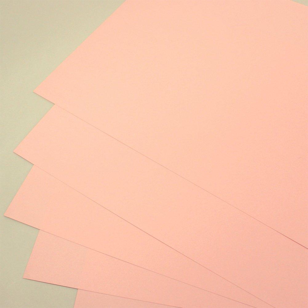 KOKUYO PPC Color FSC 100 Paper, Certified, A4, Sheets, Pink, KB-C139NP