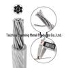 Garden Fence Outdoor String Lights Kit with 3mm Plastic-Coated Steel Cable, Screws & Tightening Buckle.