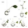 Creative Hanging Ball Glass Flower Glass Vase Hydroponics Plant Pot Terrarium Container Garden Supplies Party Home Decoration
