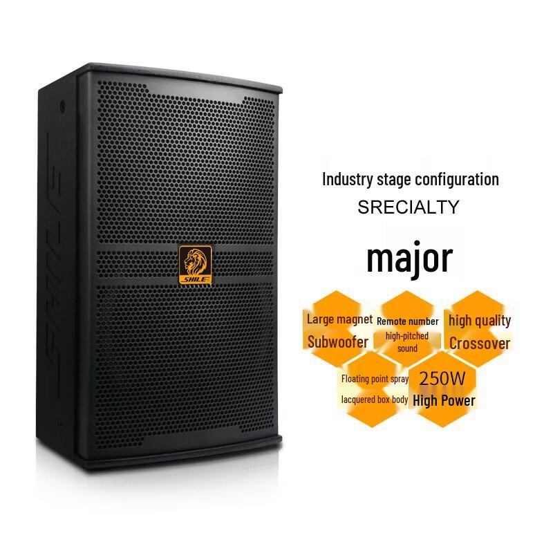 SHILE 10-inch Professional Stage Speaker