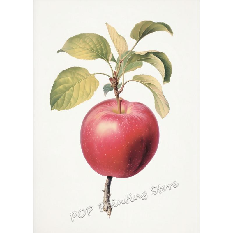 

Современный винтажный настенный арт с цитрусовыми фруктами Лимон Апельсин Виноград Принт для кухни Гостиной Столовой Домашнее украшение Подарок на новоселье 21cm×30cm NoFrame