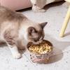 Stainless Steel Pet High Foot Bowl Cartoon Pet Food Bowl Cute Elevated Cat Bowl  Pet Accessories
