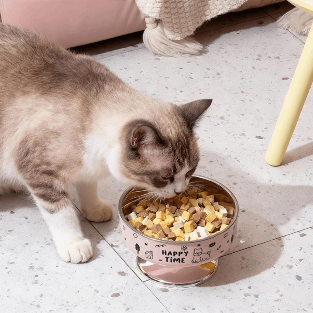Stainless Steel Pet High Foot Bowl Cartoon Pet Food Bowl Cute Elevated Cat Bowl  Pet Accessories