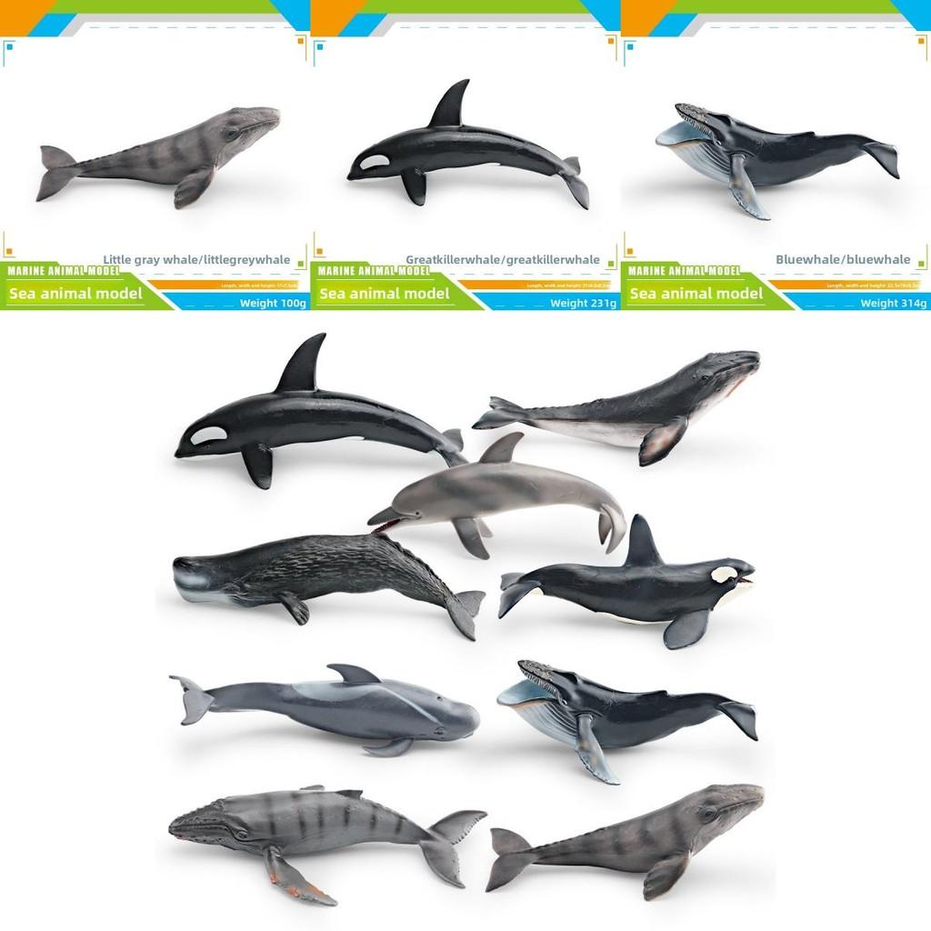 Kinder Meeresbewohner PVC Modellset mit realistischen Wal- und Delfinfiguren für pädagogisches Spiel