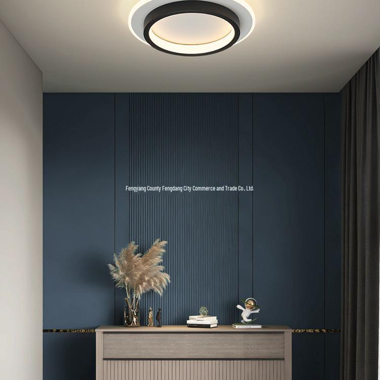 Nordische minimalistische Deckenleuchte für Flure, Eingänge, Balkone und Garderoben - Schwarz-Weiß-Design.