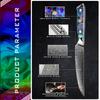 5.5 Inch VG10 Japanese Damascus Steel Steak Knife Meat Beef Chef Kitchen Petty Knives Cutlery