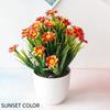 Newly Launched Spring Grass And Chrysanthemum Hot Selling Artificial Flowers Potted For Home Greenery Decoration With Pot