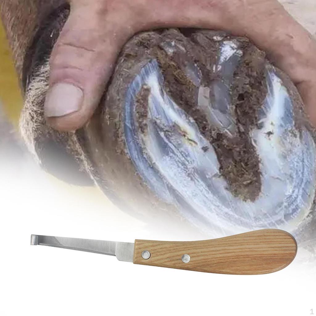 Nůž na koňská kopyta Pohodlná rukojeť Podkovář pro podkováře Hospodářská zvířata Krávy pravá ruka