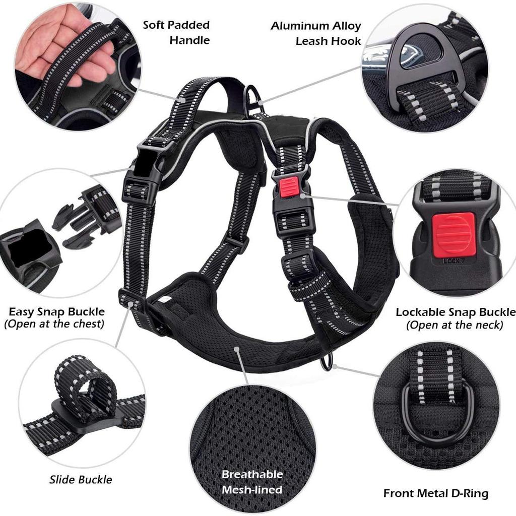 Haustier Brustgurt Hunde Zugleine Brust Rücken Nylon Reflektierendes Gurtband Atmungsaktiv Verstellbarer Hunde Gurt Zubehör