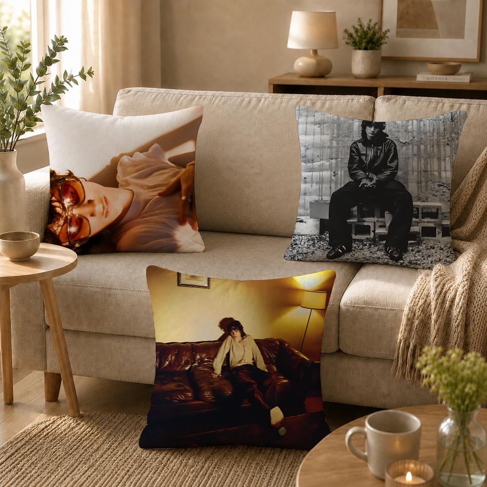 Singer Ssombr Cushion Cover Soft Short Plush SkinFriendly Cushion Case for MultiScene Use