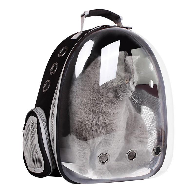 clear dog backpack