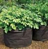 STK Nonwoven Fabric Planter Pots with Handles, Planter Bags for Cultivation and Garden Use (40*35cm (12 Gallon), Set of 10)