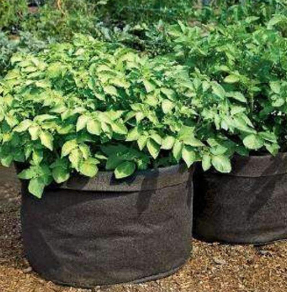 STK Nonwoven Fabric Planter Pots with Handles, Planter Bags for Cultivation and Garden Use (40*35cm (12 Gallon), Set of 10)