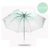 Transparent Summer Flower Folding Umbrella Triple Fold Apollo Cherry Blossom Umbrella