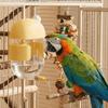 Large Capacity Parrot Water Dispenser Leak-proof Bird Drinking Cup  for Bird Cage