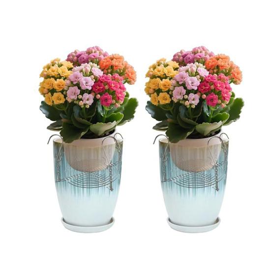 Adjustable Planter Insert for Tall Large Pots 3–10.3" Pot Riser with Chains And Hooks Stainless Steel Hanging Pot Filler for Indoor Outdoor Wedding