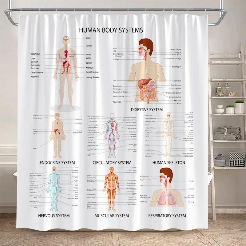 Dunika Chen Vikama Periodic Table Shower Curtain Modern Interesting Home Decoration Polyester Fabric Shower Curtain Partition Curtain