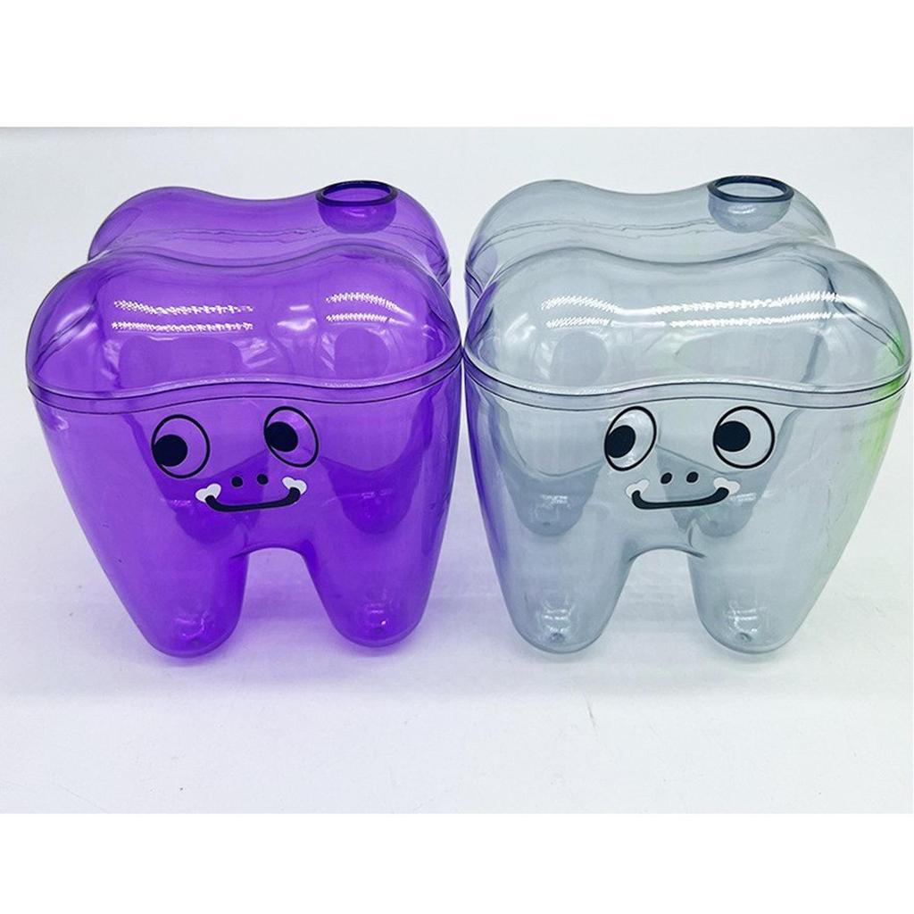 Tooth Molar Storage Box - Tooth-Shaped Organizer