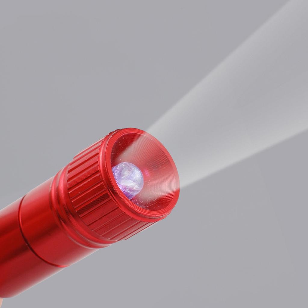 Mudder 10 Bucăți Breloc Lanternă LED Mică Lanternă Luminoasă Inel Breloc Torță Portabilă cu Cârlig pentru Camping, Baterie Inclusă