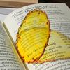 Funny Translucent Bookmark Simulation Fruit Fruit Bookmark New Acrylic Bookmark  Note Marker