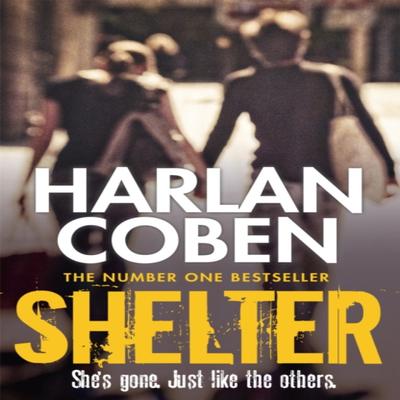 Shelter by Harlan Coben Paperback Book 9781409150596